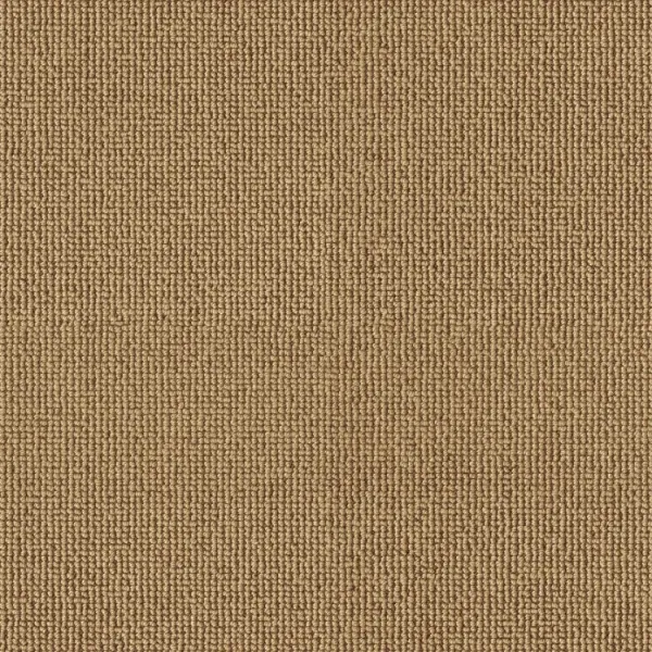 Vorwerk Rustica 2G25 gold Teppichboden – Draufsicht rechteckig